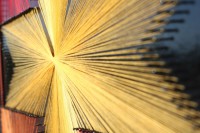 /album/tema-estelar/a27-jpg/