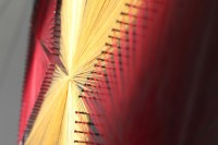 /album/tema-estelar/a28-jpg/