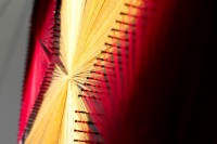 /album/tema-estelar/a31-jpg/