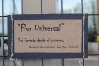 /album/tema-flor-universal/a55-jpg/