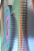 /album/tema-flor-universal/a59-jpg/