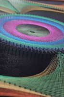 /album/tema-flor-universal/a61-jpg/